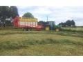 Ensilage Premarchito