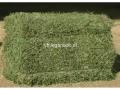 venta de fardos de alfalfa