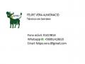 ASESORÍA EN SIPEC WEB Y PABCO